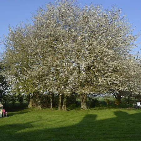 Le Du Hamel